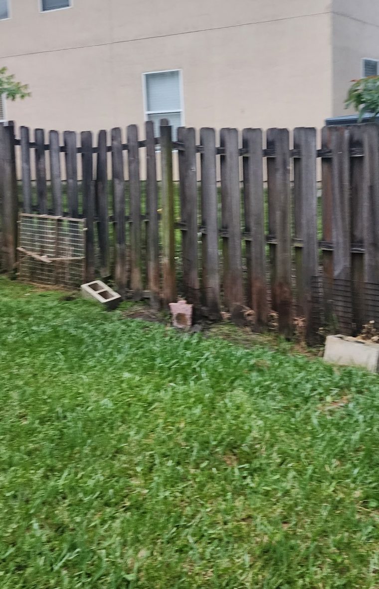 Picture of an old fence