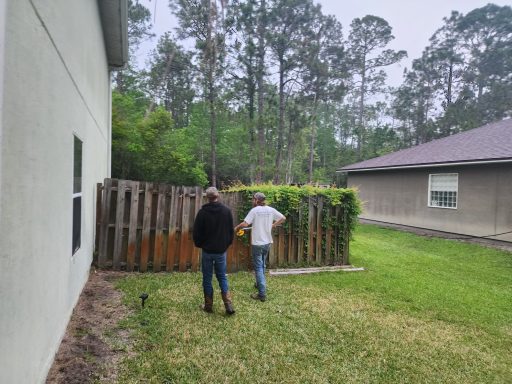 Beginning Fence Removal